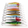 Minnow Fishing Lures