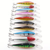 Minnow Fishing Lures