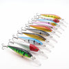 Minnow Fishing Lures